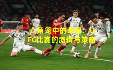 八角笼中的荣耀:UFC比赛的激情与策略