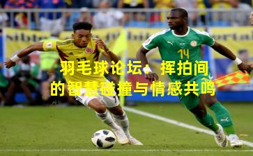 羽毛球论坛：挥拍间的智慧碰撞与情感共鸣