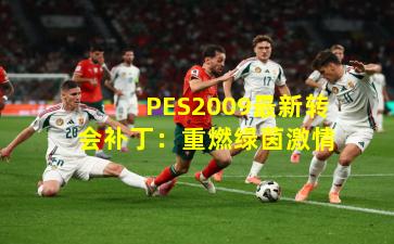 PES2009最新转会补丁：重燃绿茵激情