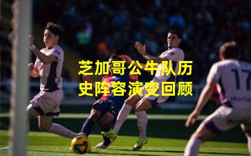 芝加哥公牛队历史阵容演变回顾